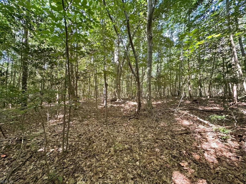 Photo 25 of 42 land for sale in Dinwiddie County virginia Photo 25 of 42 land for sale in Dinwiddie County virginia