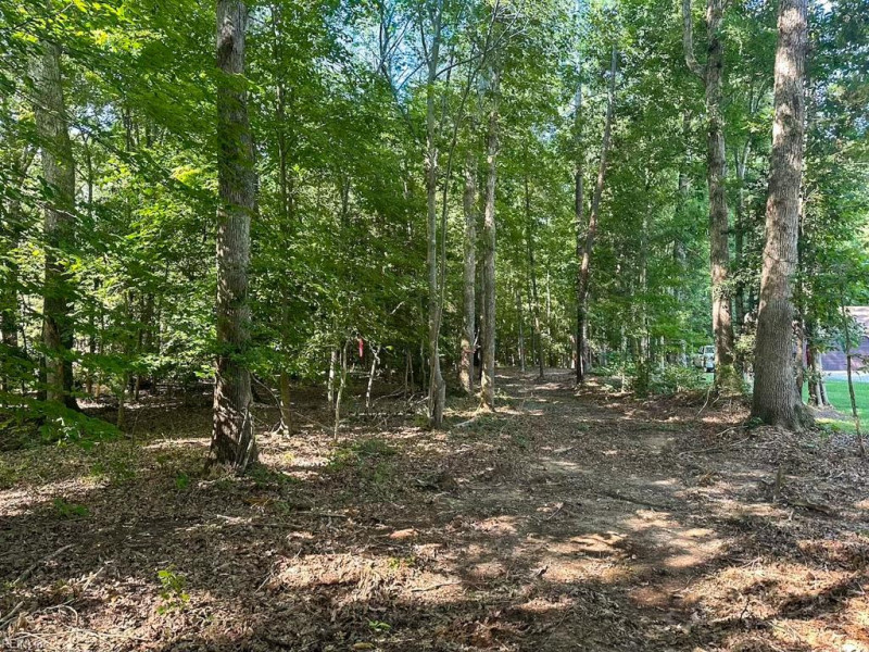 Photo 26 of 42 land for sale in Dinwiddie County virginia Photo 26 of 42 land for sale in Dinwiddie County virginia
