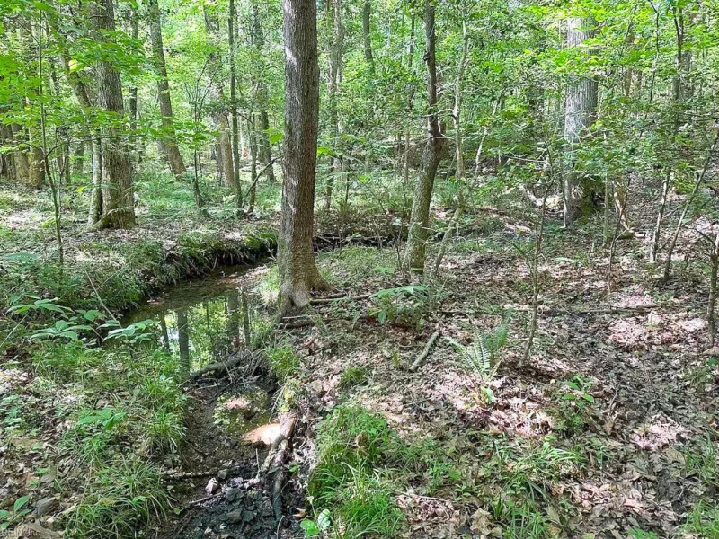 Photo 28 of 42 land for sale in Dinwiddie County virginia Photo 28 of 42 land for sale in Dinwiddie County virginia