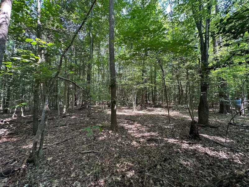 Photo 29 of 42 land for sale in Dinwiddie County virginia Photo 29 of 42 land for sale in Dinwiddie County virginia