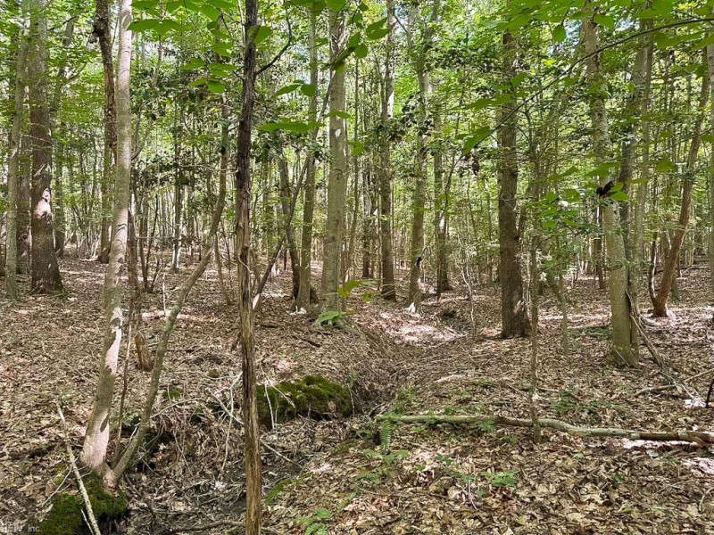 Photo 30 of 42 land for sale in Dinwiddie County virginia Photo 30 of 42 land for sale in Dinwiddie County virginia