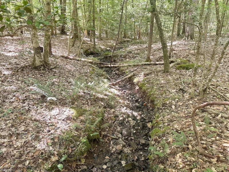 Photo 31 of 42 land for sale in Dinwiddie County virginia Photo 31 of 42 land for sale in Dinwiddie County virginia