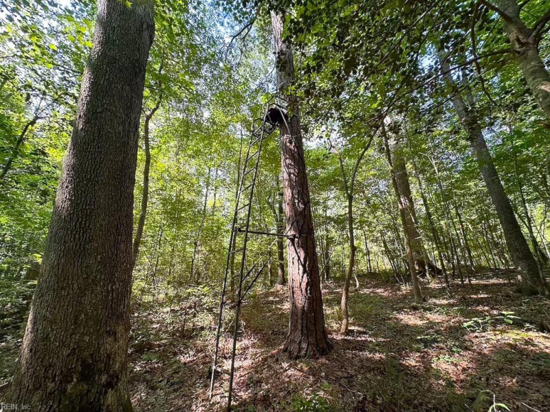 Photo 32 of 42 land for sale in Dinwiddie County virginia Photo 32 of 42 land for sale in Dinwiddie County virginia