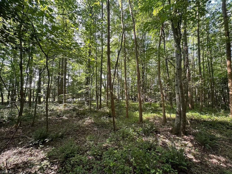 Photo 34 of 42 land for sale in Dinwiddie County virginia Photo 34 of 42 land for sale in Dinwiddie County virginia