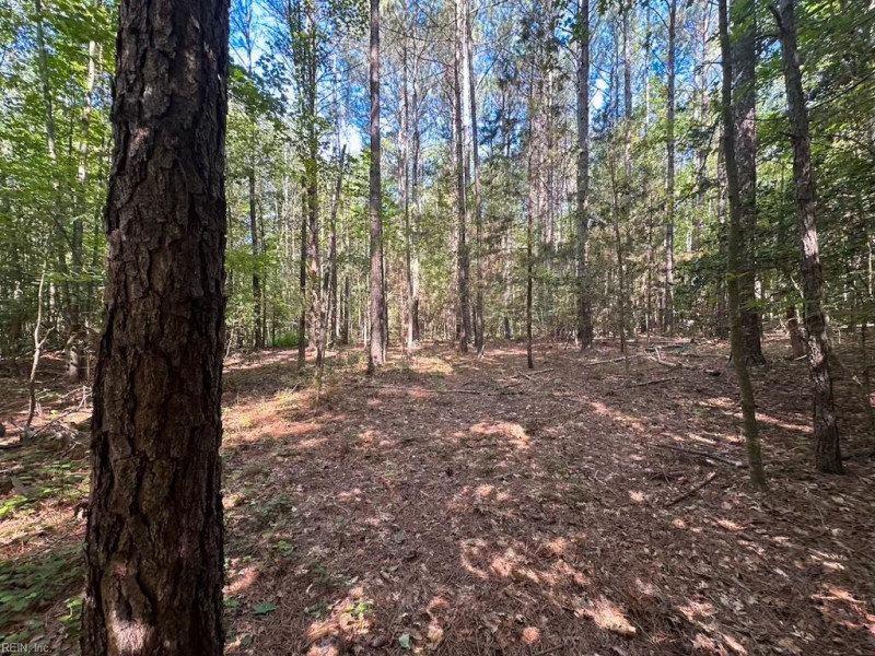Photo 35 of 42 land for sale in Dinwiddie County virginia Photo 35 of 42 land for sale in Dinwiddie County virginia