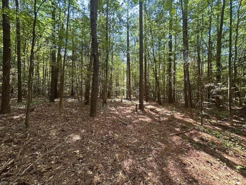 Photo 36 of 42 land for sale in Dinwiddie County virginia Photo 36 of 42 land for sale in Dinwiddie County virginia