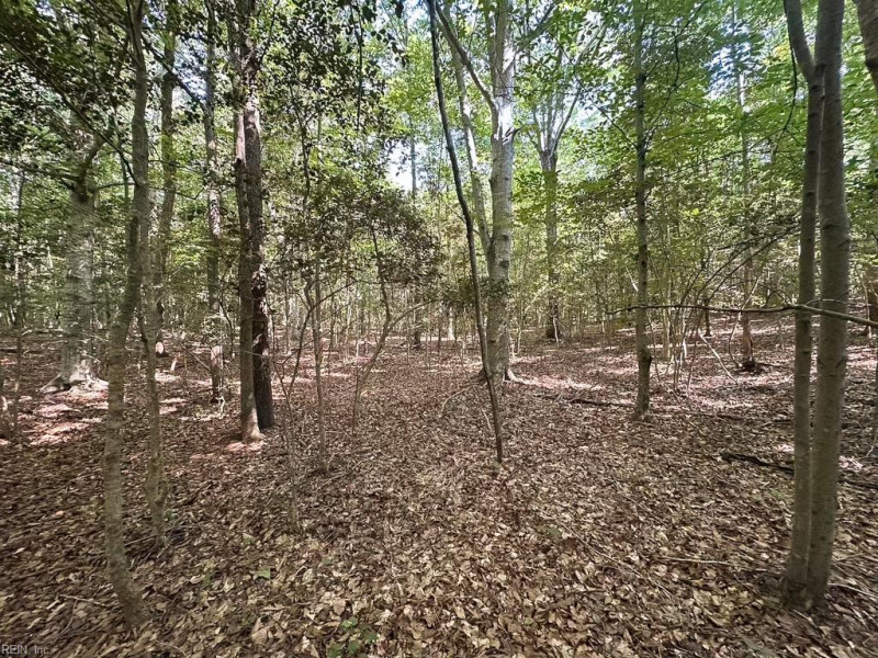 Photo 37 of 42 land for sale in Dinwiddie County virginia Photo 37 of 42 land for sale in Dinwiddie County virginia