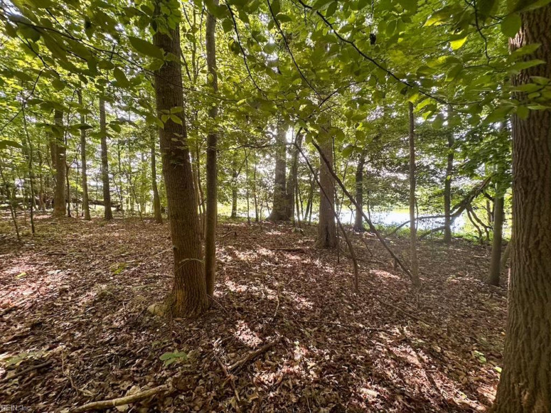 Photo 4 of 42 land for sale in Dinwiddie County virginia Photo 4 of 42 land for sale in Dinwiddie County virginia