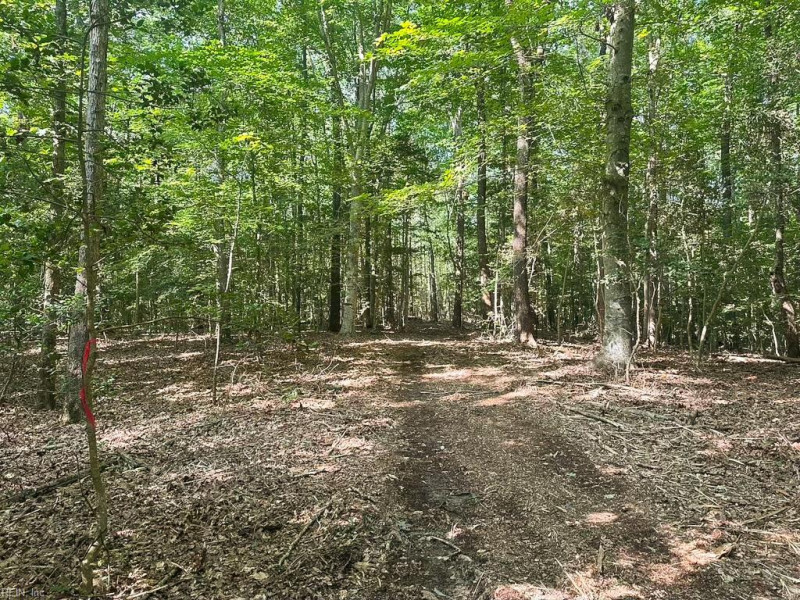 Photo 40 of 42 land for sale in Dinwiddie County virginia Photo 40 of 42 land for sale in Dinwiddie County virginia