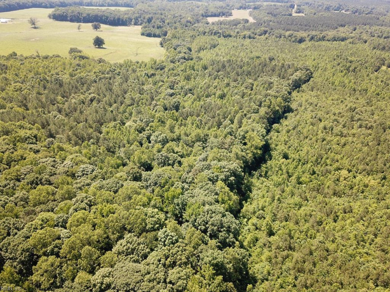 Photo 8 of 42 land for sale in Dinwiddie County virginia Photo 8 of 42 land for sale in Dinwiddie County virginia