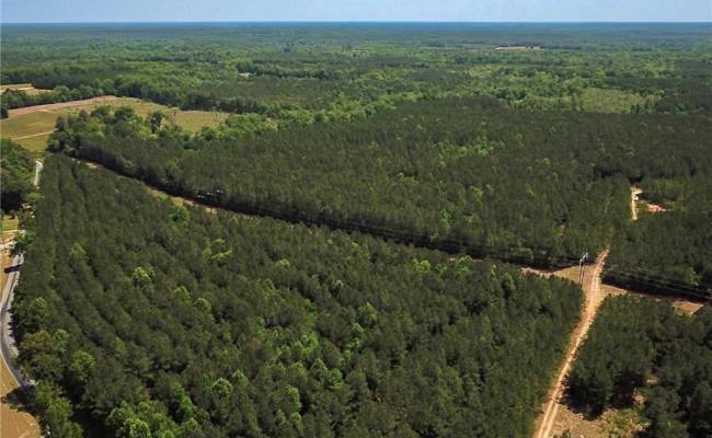 145AC Moore's Ferry Road, Emporia, VA 23847