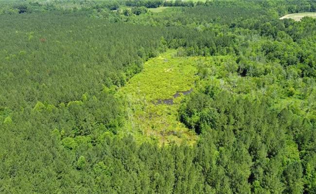 145AC Moore's Ferry Road, Emporia, VA 23847