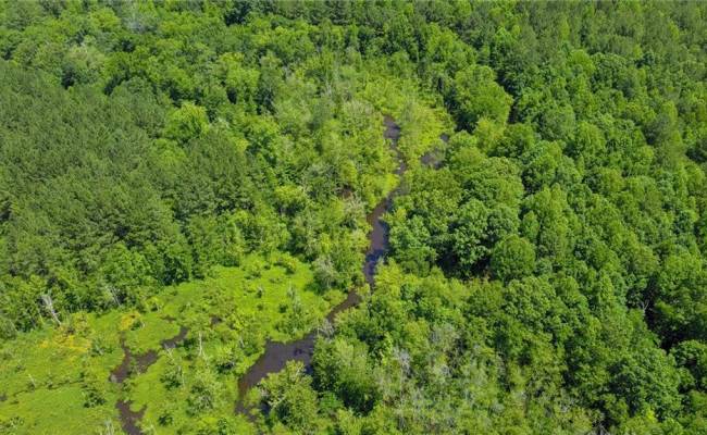 145AC Moore's Ferry Road, Emporia, VA 23847