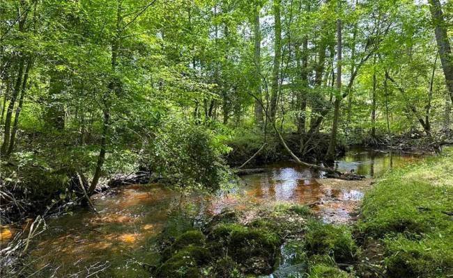 145AC Moore's Ferry Road, Emporia, VA 23847