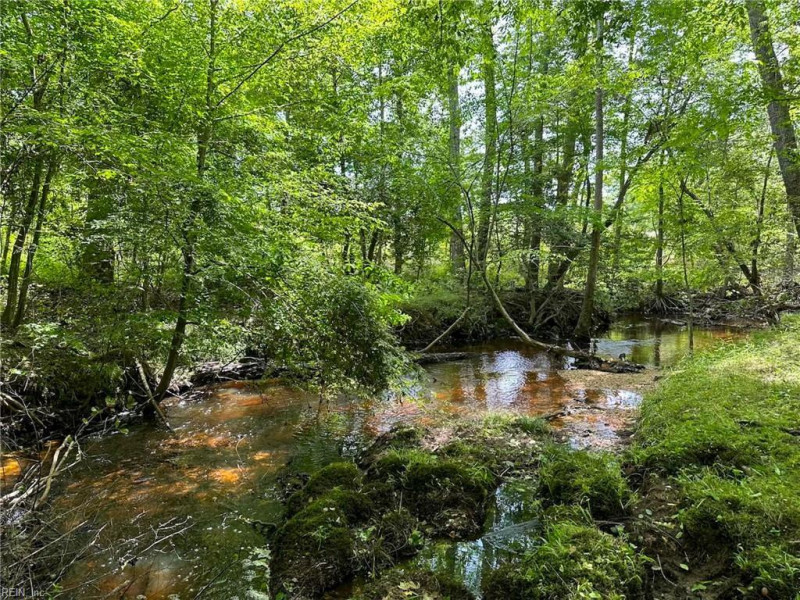 Photo 15 of 42 land for sale in Emporia virginia