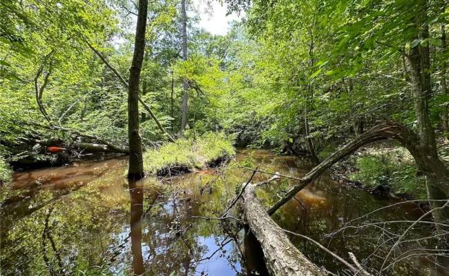 145AC Moore's Ferry Road, Emporia, VA 23847