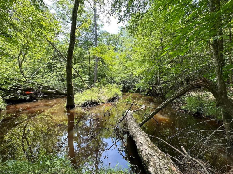 Photo 16 of 42 land for sale in Emporia virginia