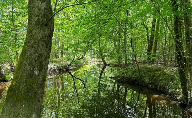 145AC Moore's Ferry Road, Emporia, VA 23847
