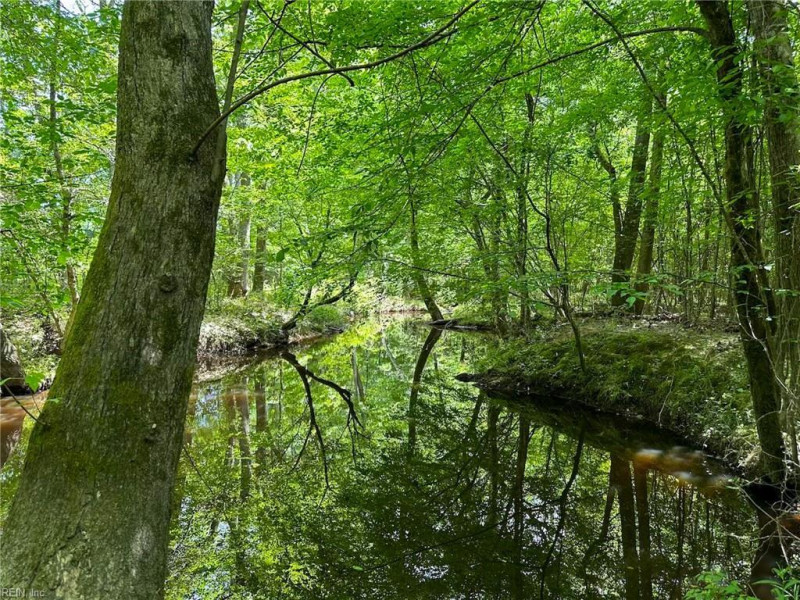 Photo 17 of 42 land for sale in Emporia virginia