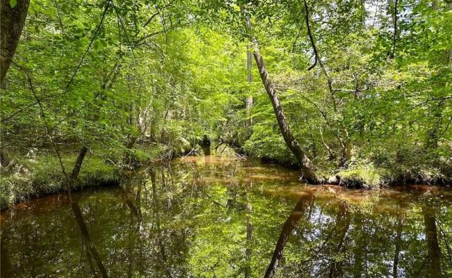 145AC Moore's Ferry Road, Emporia, VA 23847