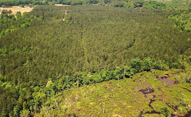 145AC Moore's Ferry Road, Emporia, VA 23847