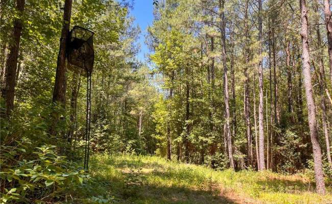 145AC Moore's Ferry Road, Emporia, VA 23847