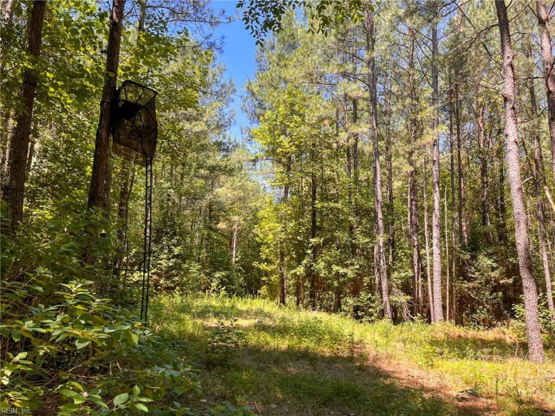 Photo 20 of 42 land for sale in Emporia virginia