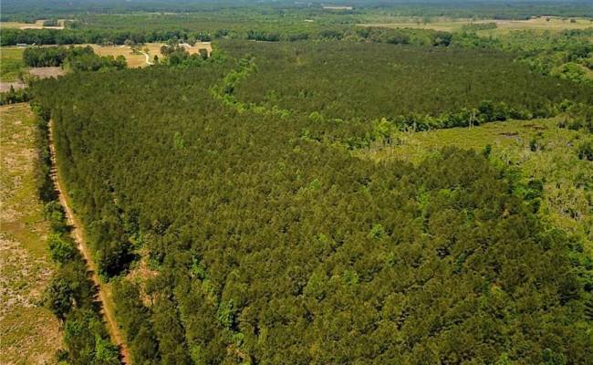 145AC Moore's Ferry Road, Emporia, VA 23847