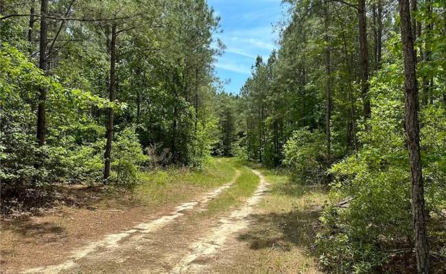 145AC Moore's Ferry Road, Emporia, VA 23847