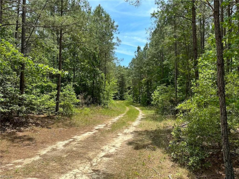 Photo 23 of 42 land for sale in Emporia virginia