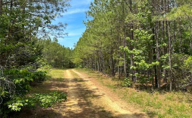 145AC Moore's Ferry Road, Emporia, VA 23847