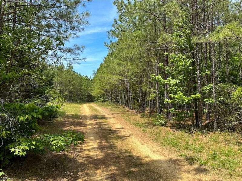 Photo 24 of 42 land for sale in Emporia virginia