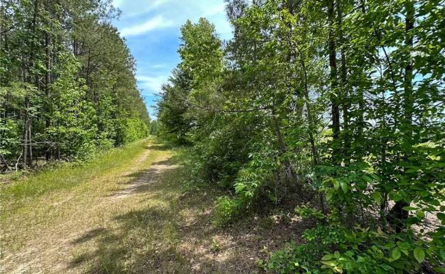 145AC Moore's Ferry Road, Emporia, VA 23847
