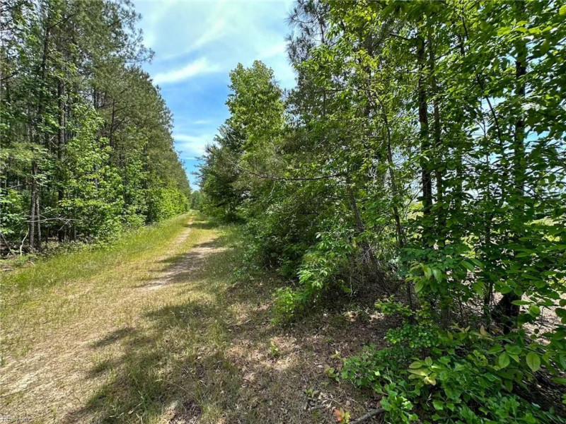 Photo 26 of 42 land for sale in Emporia virginia