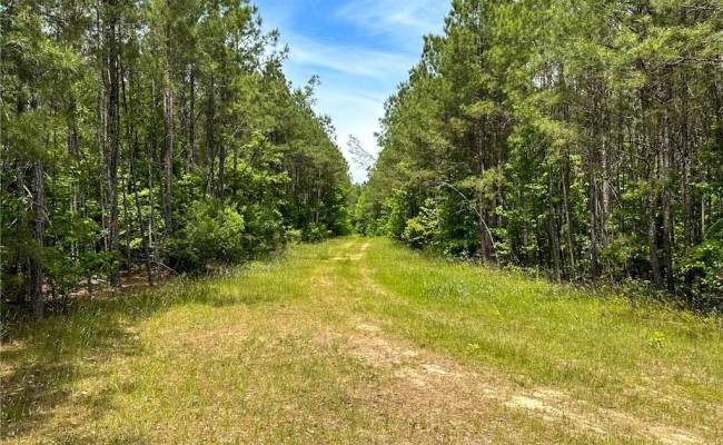 145AC Moore's Ferry Road, Emporia, VA 23847