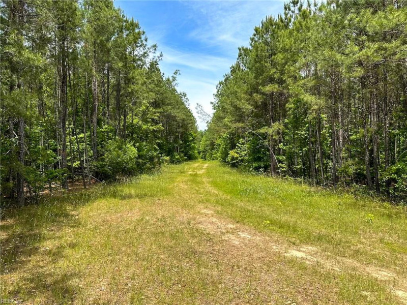 Photo 27 of 42 land for sale in Emporia virginia