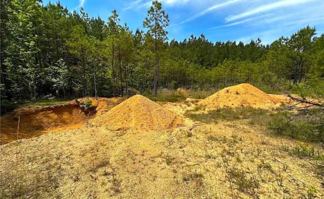 145AC Moore's Ferry Road, Emporia, VA 23847