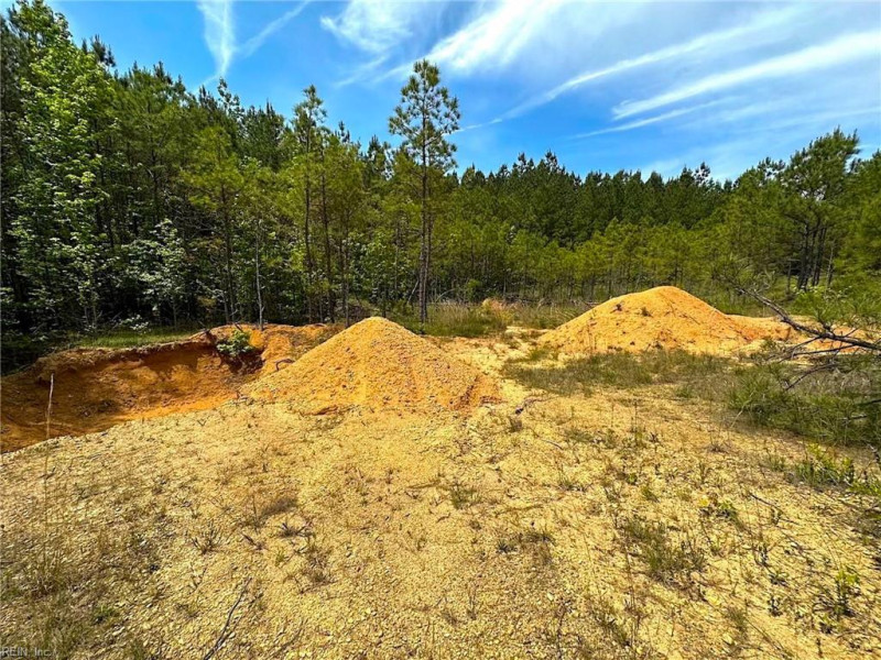 Photo 28 of 42 land for sale in Emporia virginia