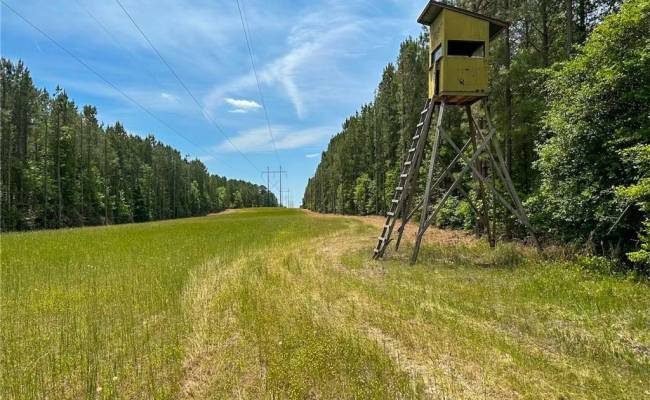 145AC Moore's Ferry Road, Emporia, VA 23847