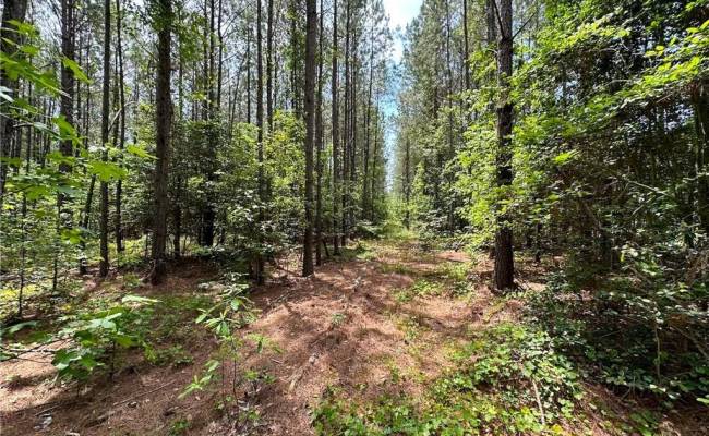 145AC Moore's Ferry Road, Emporia, VA 23847