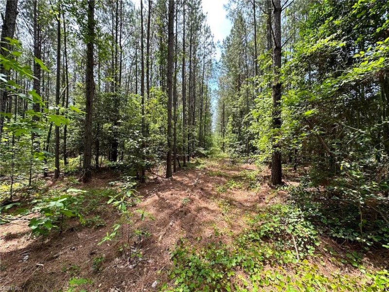 Photo 30 of 42 land for sale in Emporia virginia