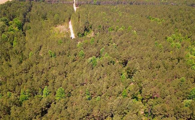 145AC Moore's Ferry Road, Emporia, VA 23847