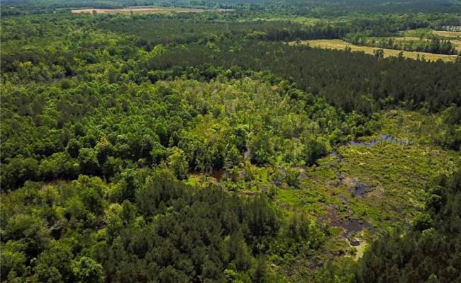 145AC Moore's Ferry Road, Emporia, VA 23847