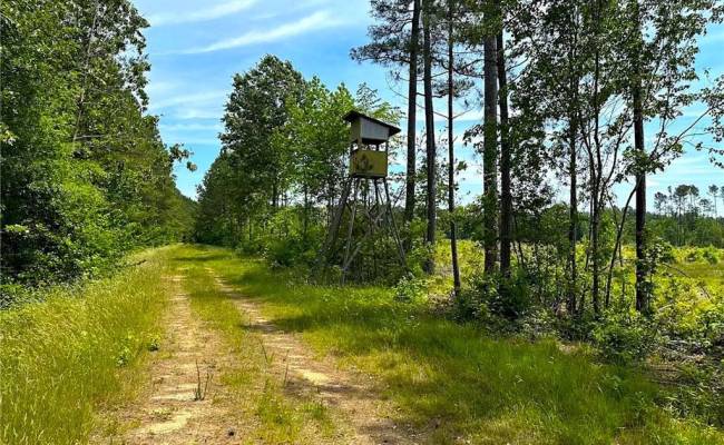 145AC Moore's Ferry Road, Emporia, VA 23847