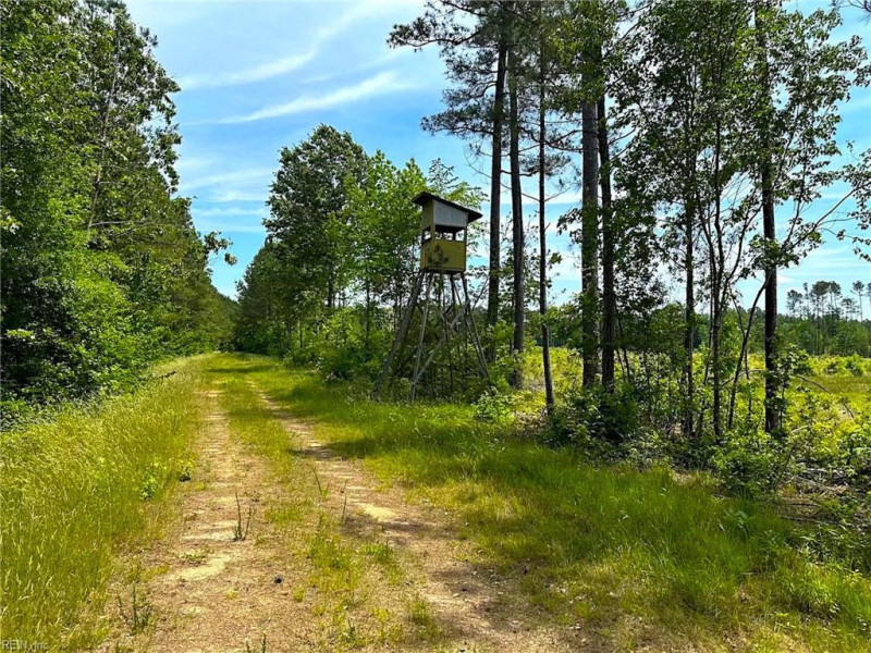 Photo 34 of 42 land for sale in Emporia virginia