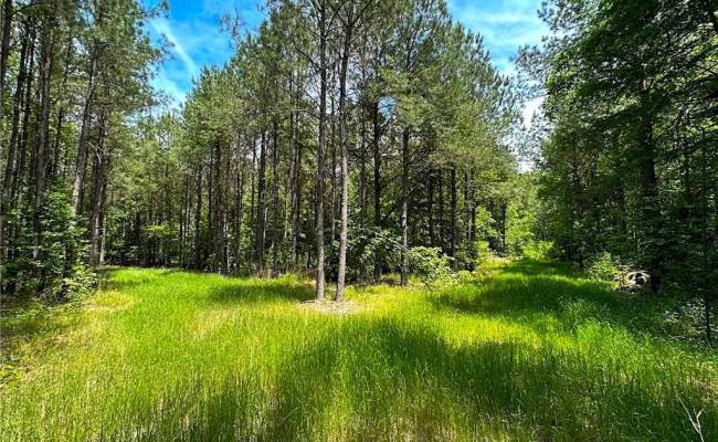 145AC Moore's Ferry Road, Emporia, VA 23847