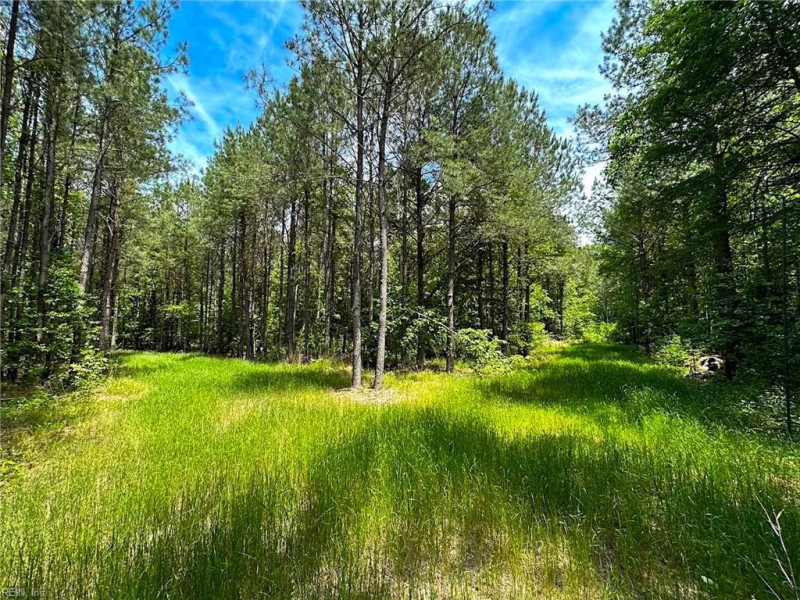 Photo 35 of 42 land for sale in Emporia virginia