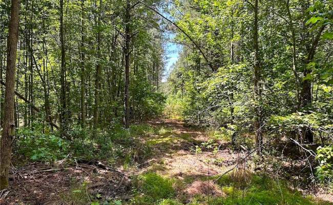 145AC Moore's Ferry Road, Emporia, VA 23847