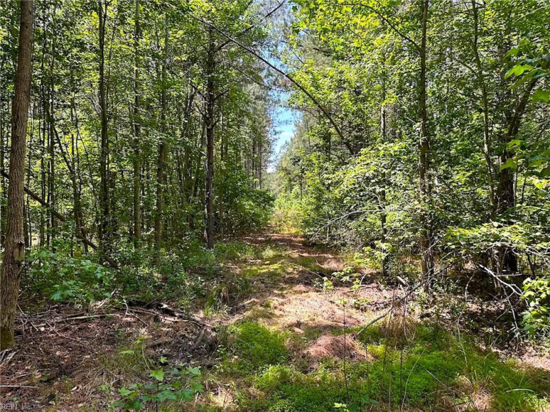 Photo 36 of 42 land for sale in Emporia virginia