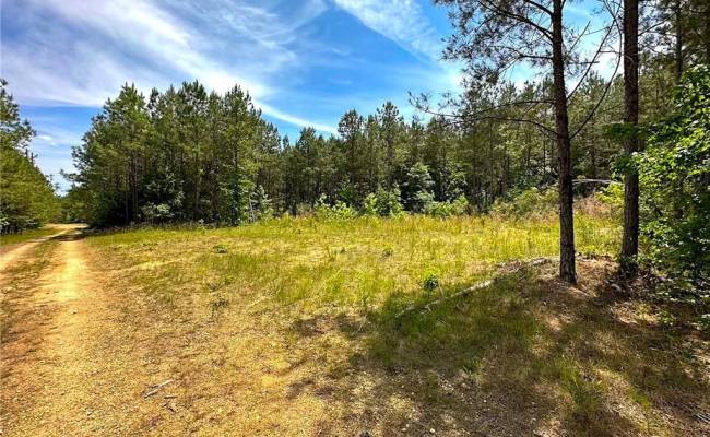 145AC Moore's Ferry Road, Emporia, VA 23847